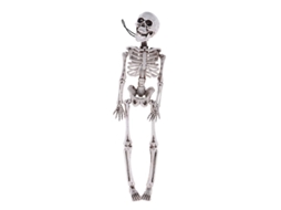 2 Peças de Esqueleto de Halloween para Presentes de Halloween ALLINLESS