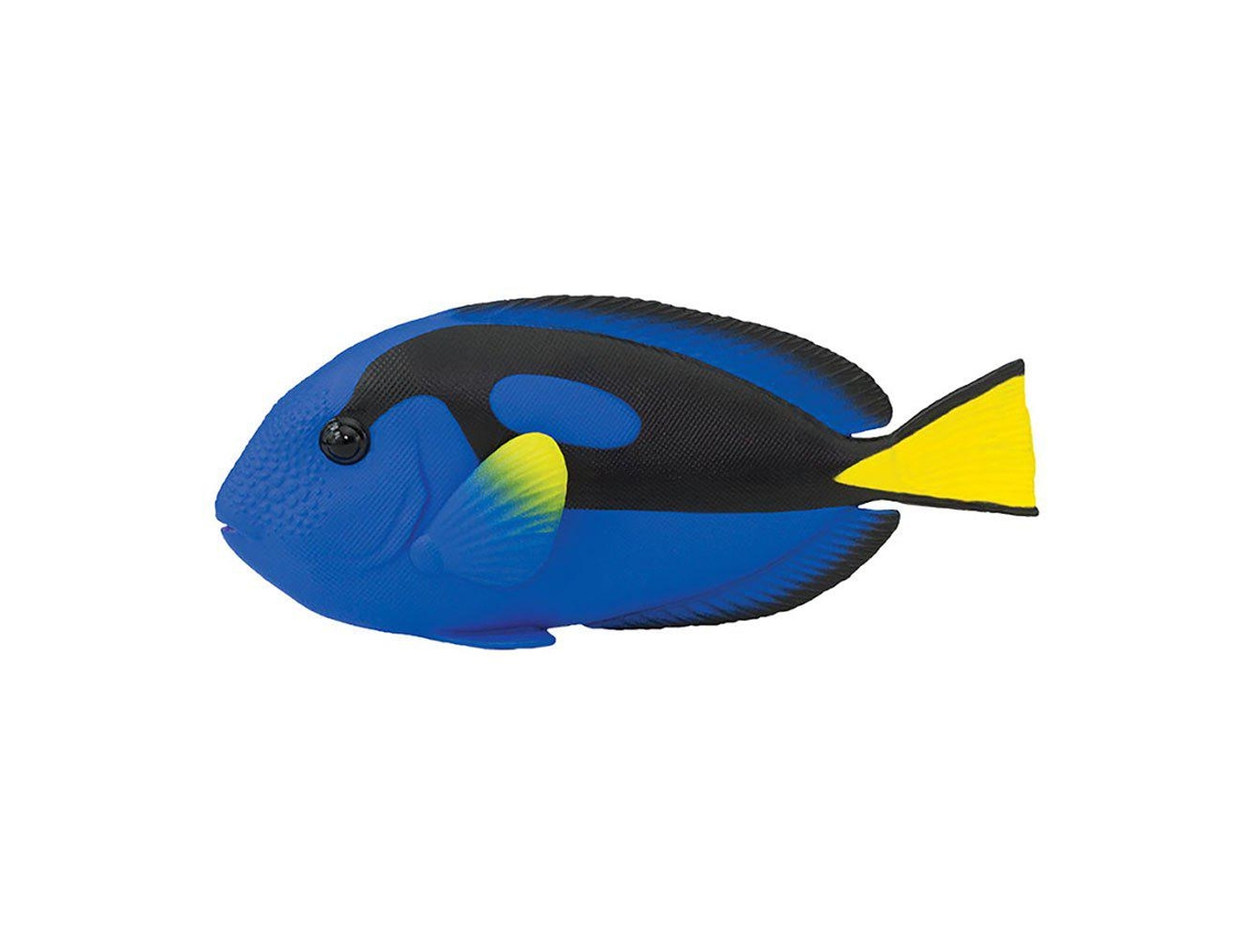 SAFARI Blue Tang