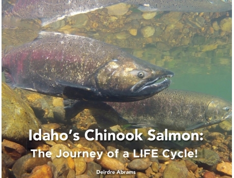 Livro Idaho's Chinook Salmon: The Journey of a LIFE Cycle Deirdre A Abrams (Inglês)