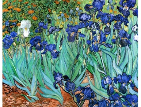 Tela LEGENDARTE Lírios - Vincent Van Gogh (40x50 cm)