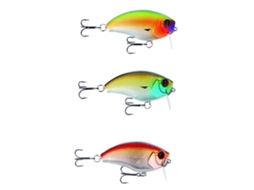 Seika Shallow 65