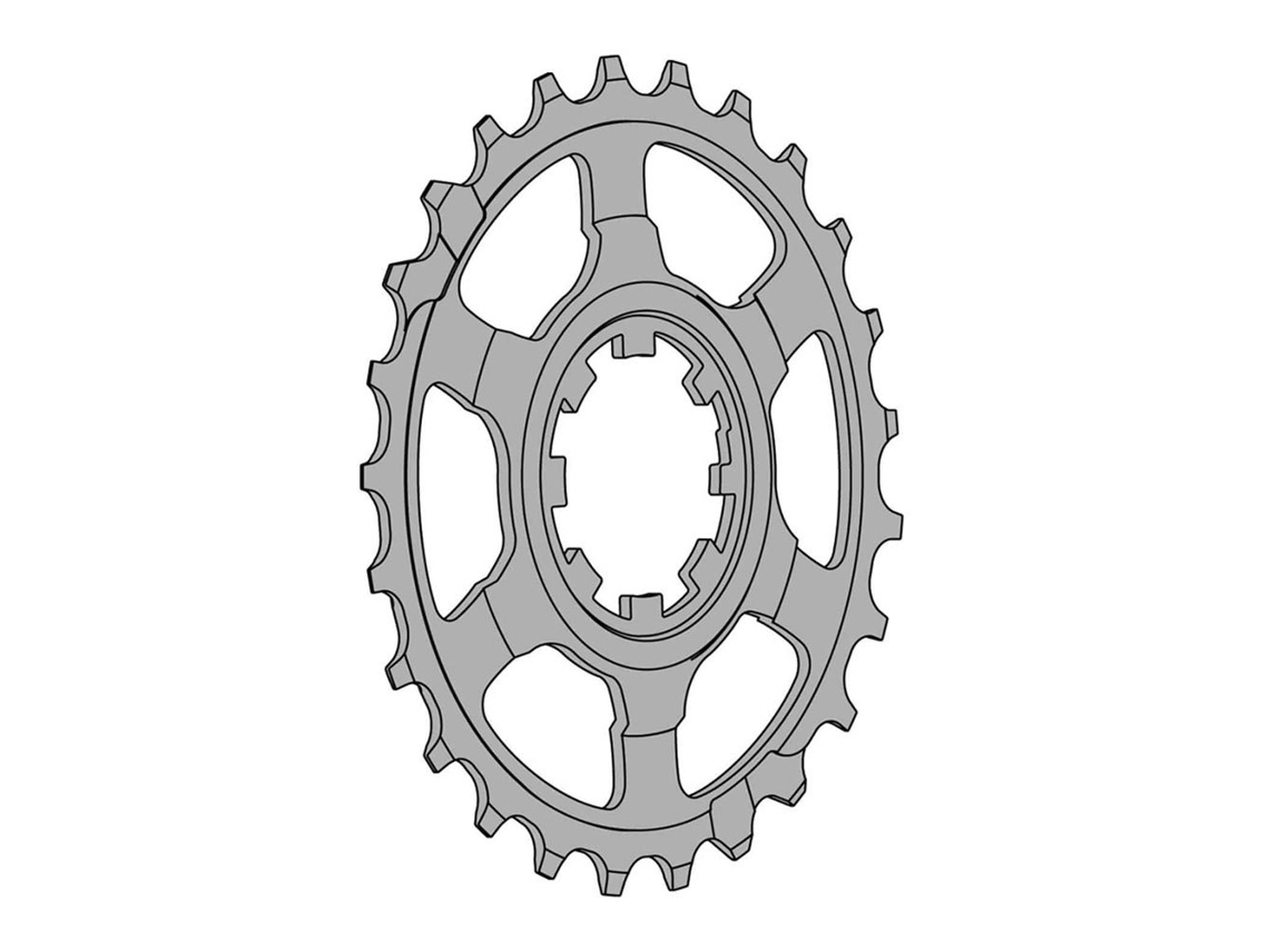 Pinhão Campagnolo Final 11S Prateado 1V / 23Tmiche