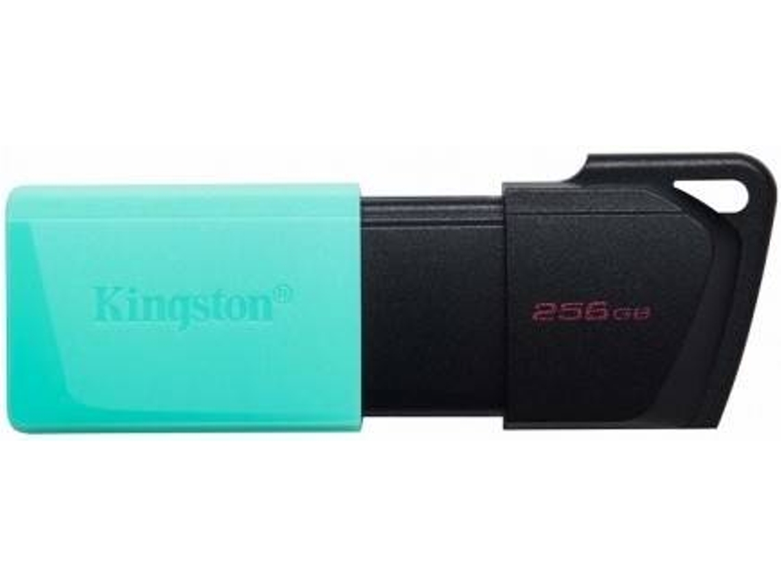 Pen USB KINGSTON G1 DT Exodia M (USB 3.2 - 256 GB)