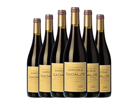 Vinho CADALSO Syrah Vinos de Madrid (0.75 L - 6 Unidades)