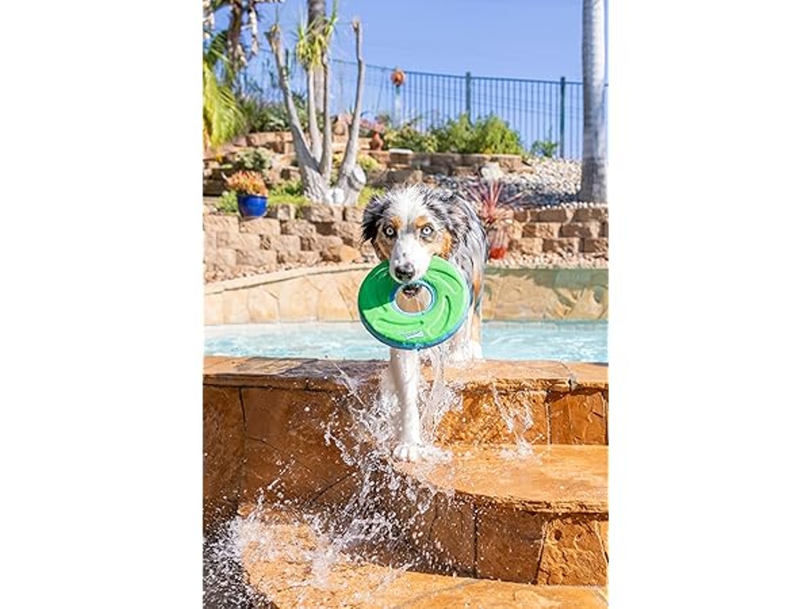 Disco para Cães, Flutuante, Esporte Ao Ar Livre, Artigos para Animais de Estimação, Ergonômico, Uso Diário STELASPLEN