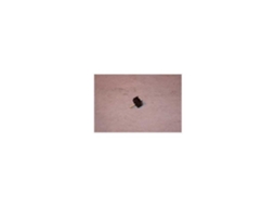 Hotpoint Indesit WHIRLPOOL Switch /Hotpoint Indesit WHIRLPOOL