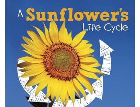 Livro a sunflower's life cycle de mary r. dunn (inglês)