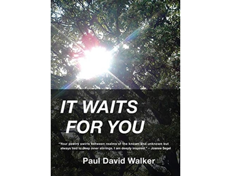 Livro It Waits for You de Paul David Walker (Inglês)