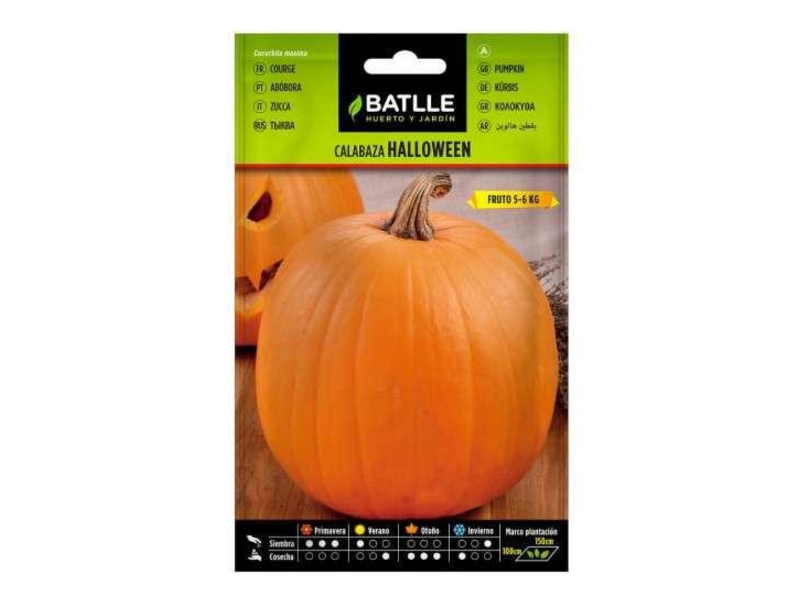 Sementes de abóbora Halloween BATALHA