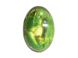Laxiscreed Ovo De Dinossauro Luminosa Para Decoração De Casa Em Verde