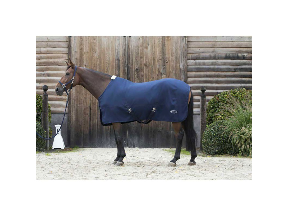 Tapete de Secagem Wx Tech Azul 206-155 Cmlami-Cell