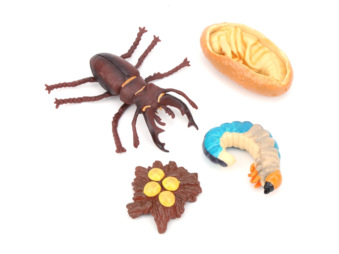 Mali modelo de Ciclo de Vida Animal Brinquedo Educativo para Crianças Simulação Pvc