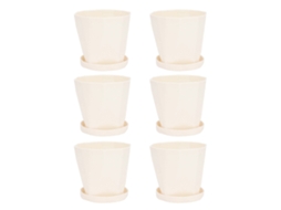 Primerox 6 Vasos de Plástico para Pequenas Plantas com Bandejas Leve Versátil Branco Creme