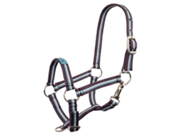 Cabresto para Potros PREMIERE Equitation Fun
