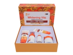 Kit De Cuidados Com A Pele Vitamina C Umectante E Proteção Solar