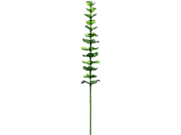 Planta Artificial EUROPALMS Crystal Eucalyptus (Verde - 81 cm)