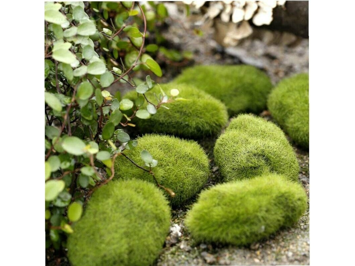 2 Peças de Musgo Artificial Novo, Modelo de Pedra Coberta Musgo, Micro Paisagem, Decoração de Jardim em Miniatura BRILVIBERA