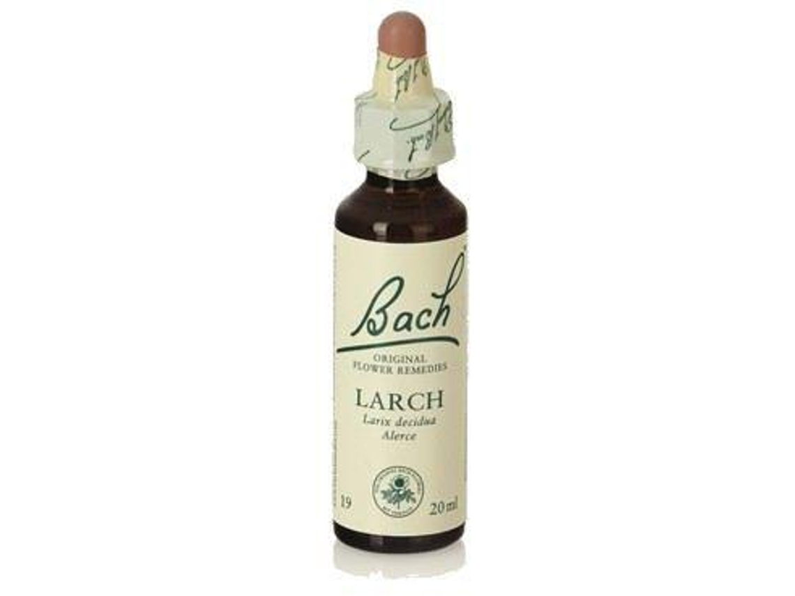 Original Flower Essences Bach 19 Larch 20 ml Worten.pt