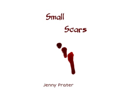 Livro Small Scars De Jenny Prater (inglês)