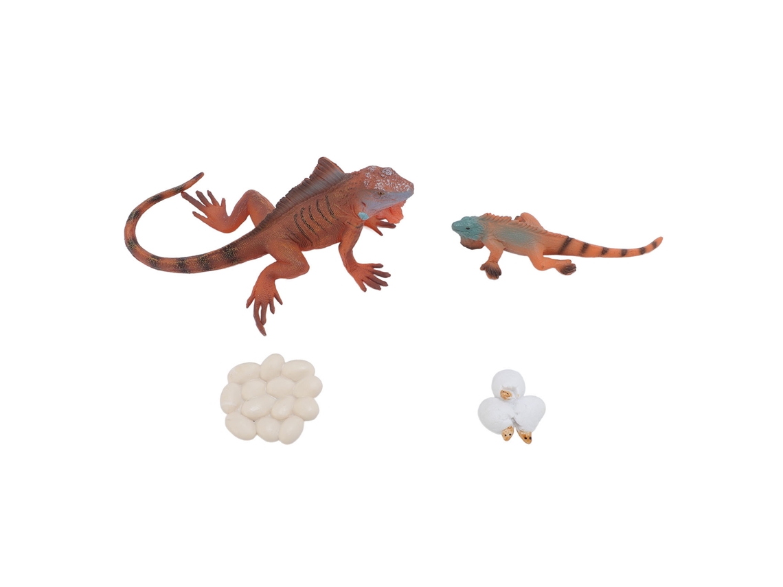 Conjunto De Modelos Do Ciclo De Vida Da Iguana Pvc Realista Brinquedo Educação Infantil