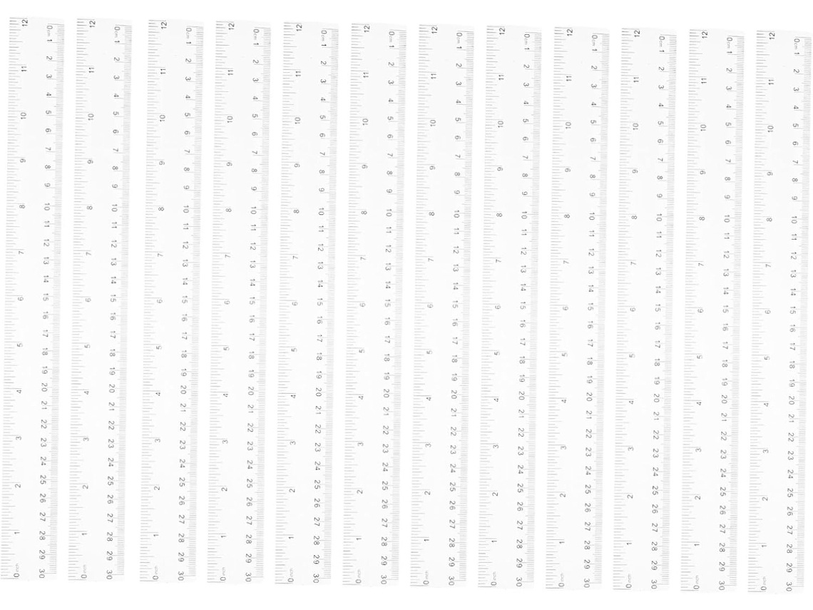 Lurelia Régua Plástica 12 Peças 30 Cm Com Resistente Para Escola