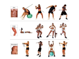 Conjunto de Cintas para Flexão Isquiotibiais, Portátil e Ajustável, Exercícios Abdominais na Porta, Ideal P Ara Tre Inar em Casa, no Trabal GOKOCO