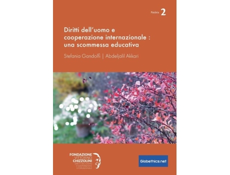 Livro Diritti Delluomo E Cooperazione Internazionale De Stefania Gandolfi (inglês)