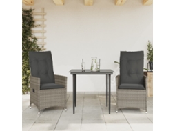 Maison Exclusive - Cadeiras Jardim Reclináveis 2 Pcs C/ Almofadões Vime Pe Cinza
