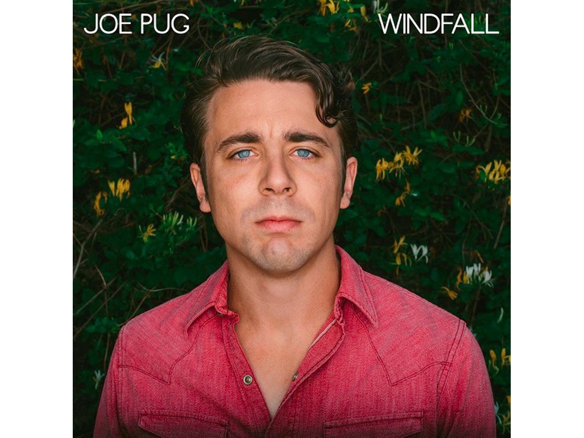 Vinil Joe Pug - Windfall