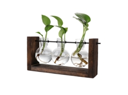 Vaso Hidropônico Decorativo com Apoio de Madeira LAXISCREED