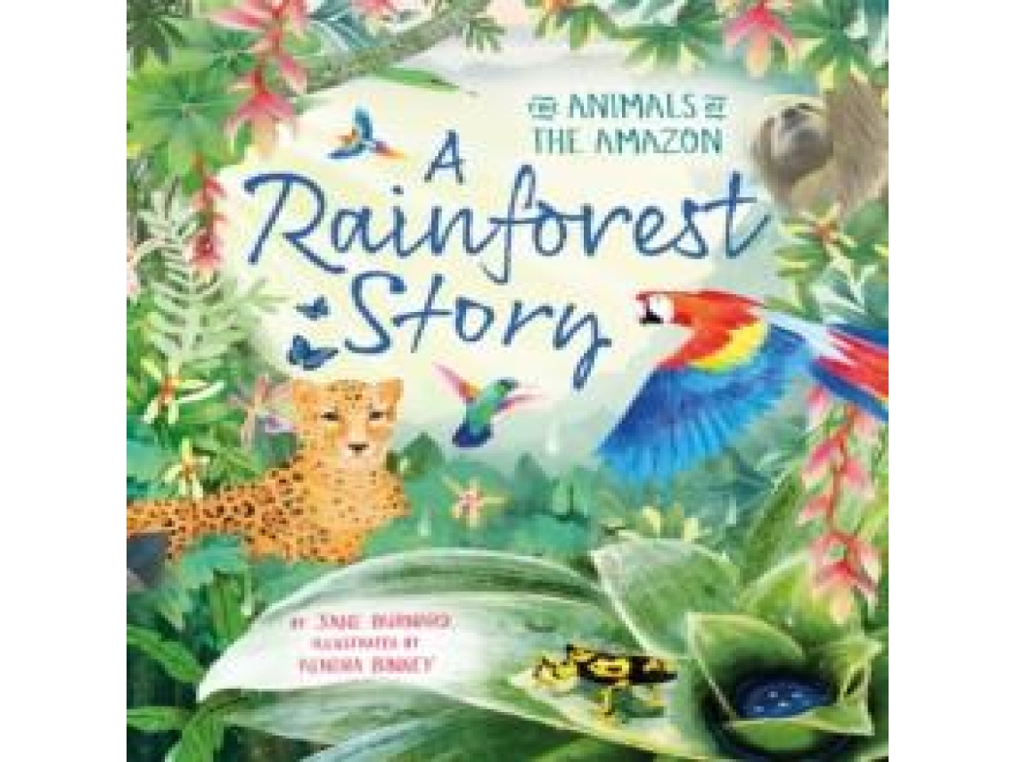 Livro Rainforest Story de Jane Burnard (Inglês)
