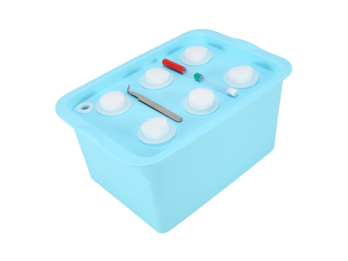 VYLARA Sistema hidropônico de 6 furos para plantas, kit de cultivo de bolhas para jardim interno ou externo, armário ou caixa (azul)