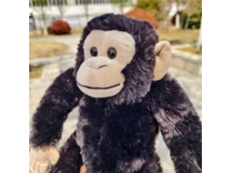 Chimpanzé Sentado Realista de Pelúcia Animal Selvagem Preto CHABERLU