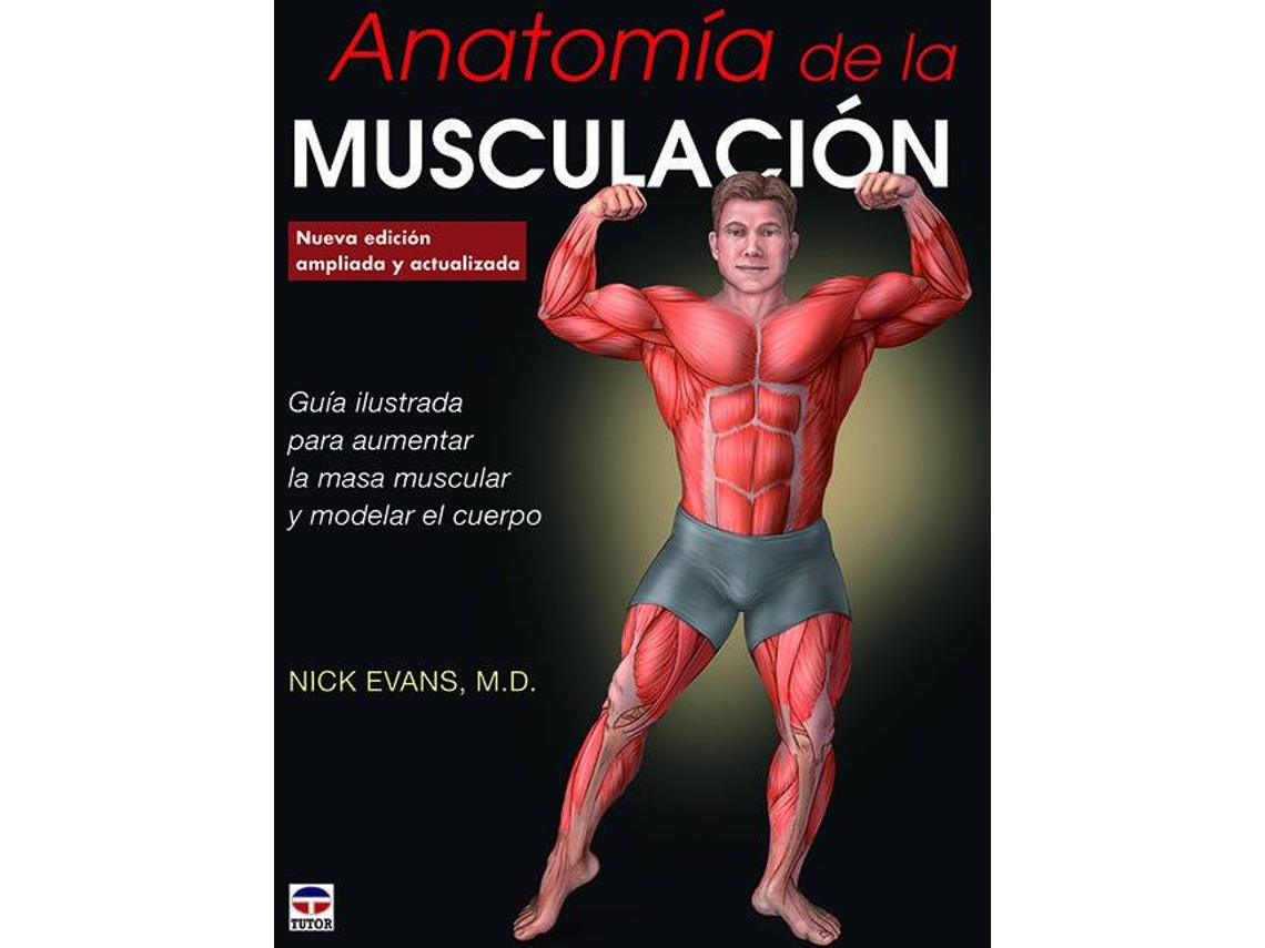 Ejercicios aumentar masa muscular