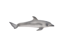 Mali modelo de Animal Marinho Educativo Pvc para Crianças Brincar Decoração Coleção Presente