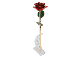 Rosa Dourada 24k Preservada Aniversário Vermelha