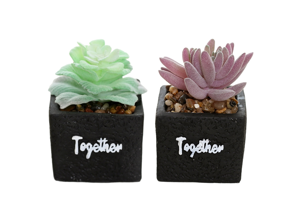 2 Peças de Bonsai Suculento Artificial em Bacia Quadrada de Cimento Simulação de Flores Decoração Criativa para Casa RNEMITERY