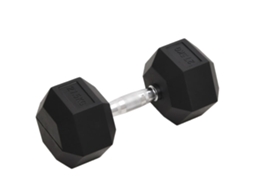 Vidaxl Haltere 27,5 Kg Ferro Fundido