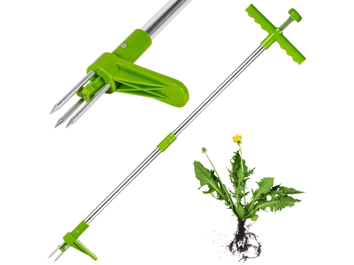 Removedor de Ervas Daninhas de Aço, Verde AQUAFORGE