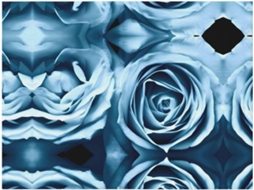 Colcha de Flanela Macia e Quente com Estampa Azul Rosa 203 X 152 Cm, Macio, Quente, Ideal para Quarto e Sala