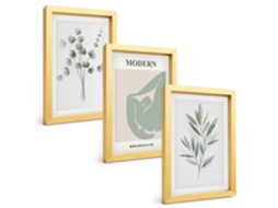 Composição De Quadros Motivos Florais Em Folhagem Espelharte (3 Peças 20x30 Cm)