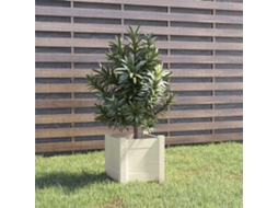 Vidaxl Vaso/floreira De Jardim 31x31x31 Cm Pinho Maciço Branco