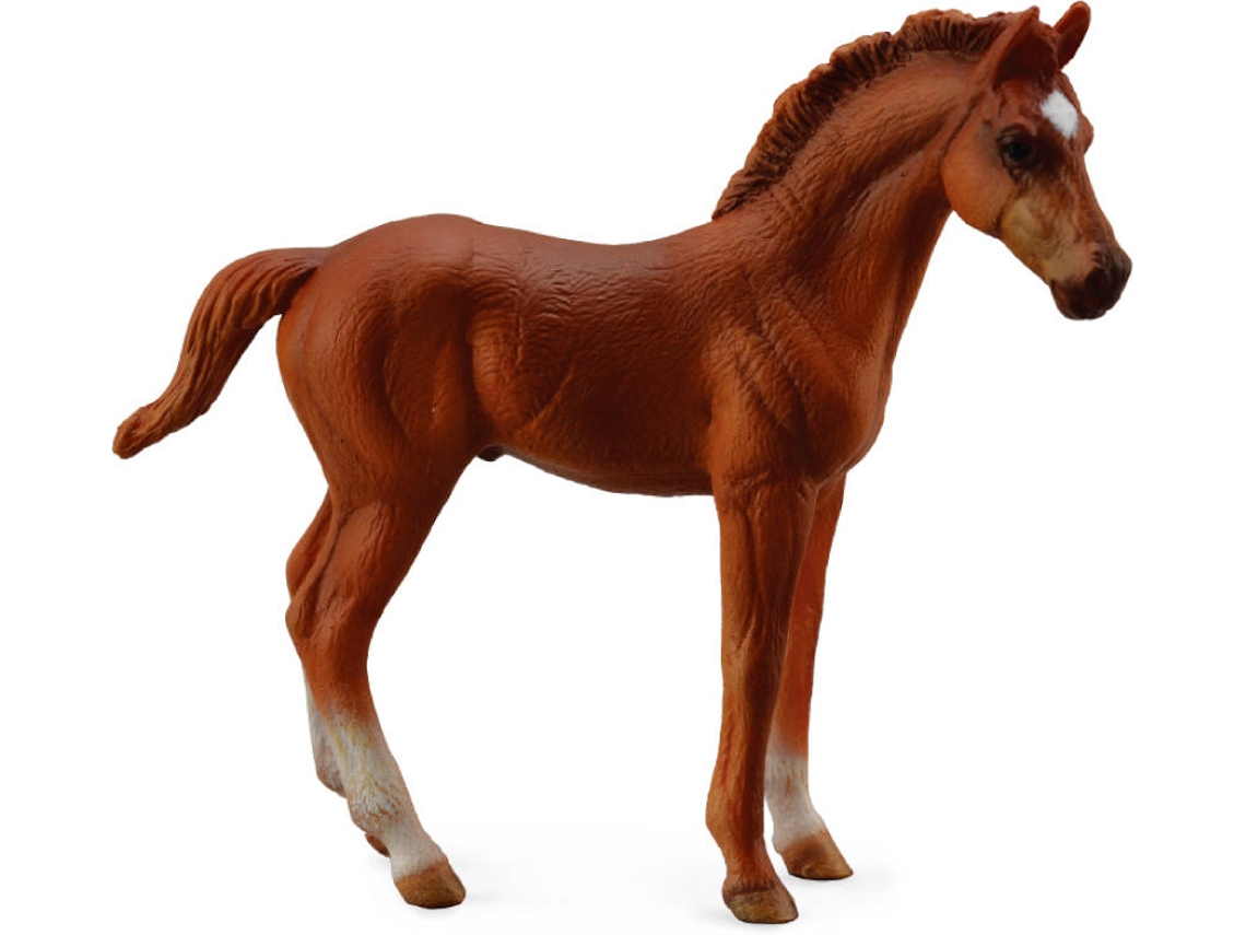 Figura COLLECTA Thoroughbre potro Standing