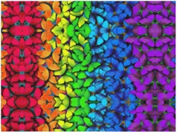 Manta de Flanela Macia e Quente com Estampa Borboletas Coloridas 203 X 152 Cm, Macio, Quente, Ideal para Qua