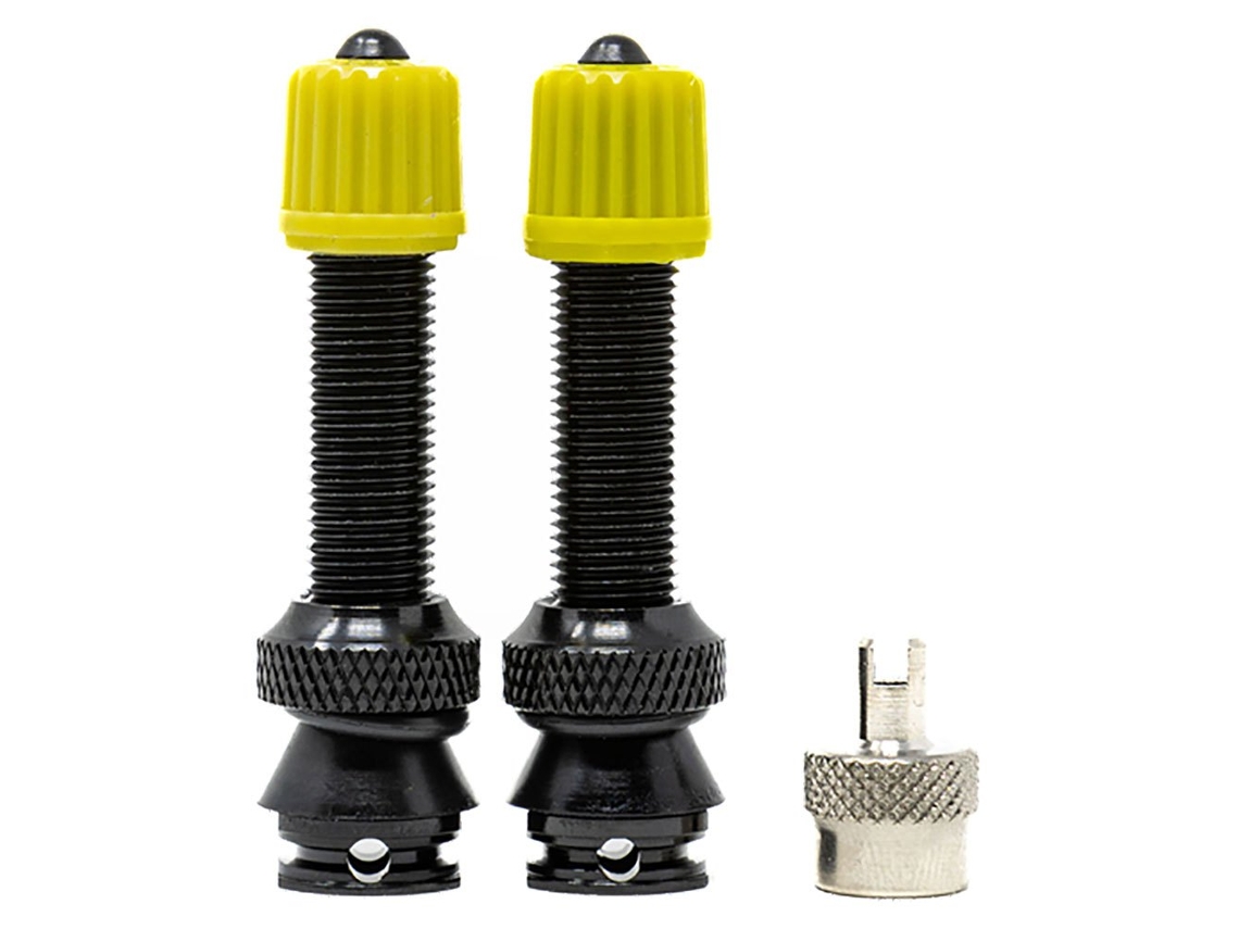 Mousse Compatível com Válvulas Tubeless Schrader 2 Unidades Douradox-Sauce