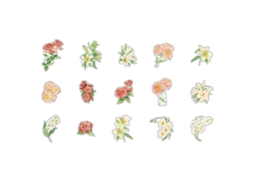 15 Adesivos Florais Pet com Padrões Exquisite para Scrapbook Notebook Diy Decorativo PORTAL