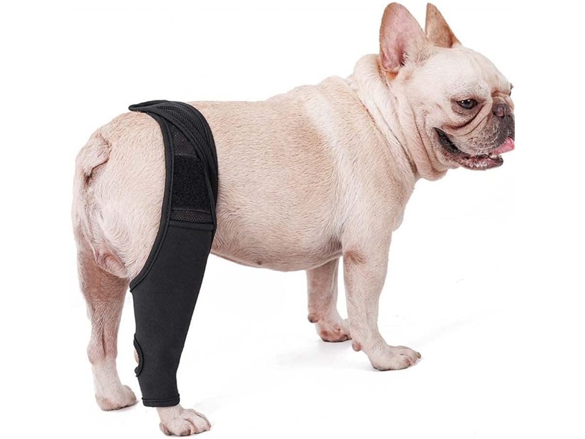 Joelheiras Para Cães, Cotoveleiras De Neoprene Para Cães Com Estabilizador Lateral Aquaforge