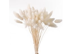 60 Unidades de Flores Secas Naturais, Capim, Dos, Pampas Seco, Rabdosia BRILVIBERA