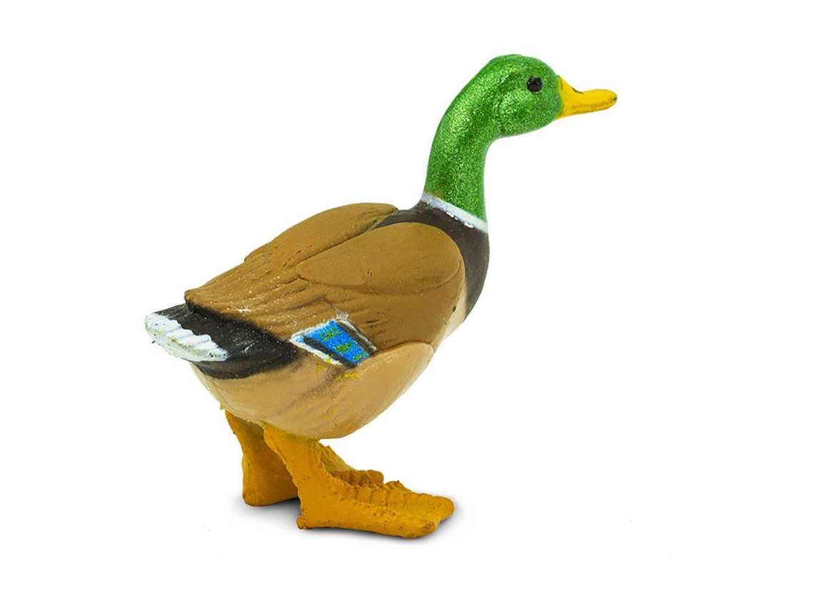 SAFARI Duck