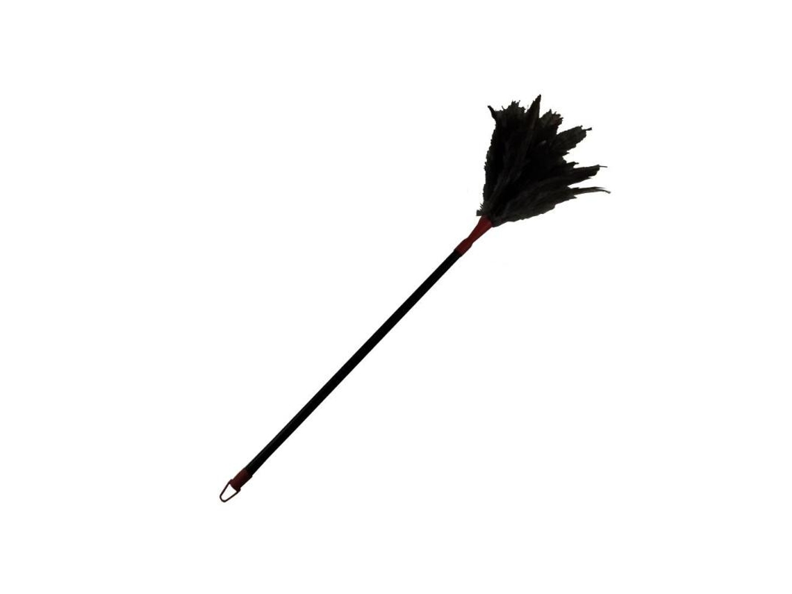 Plumero extensible 75/120 cm